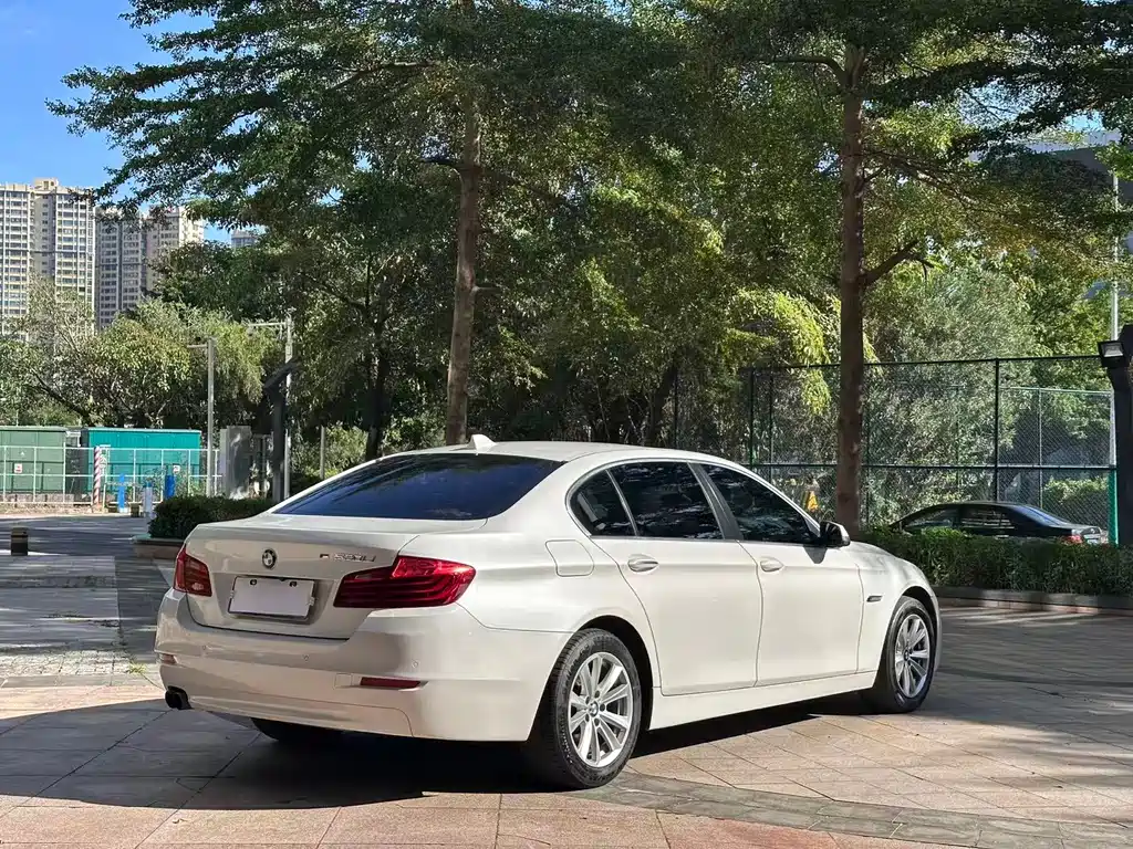 BMW 5 Series 2014 — фото 16