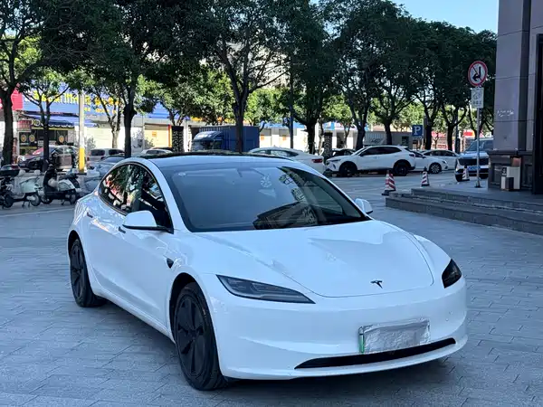 Tesla Model 3 2025