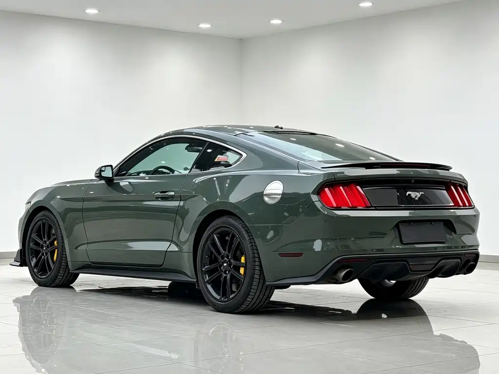Ford Mustang 2016 — фото 8