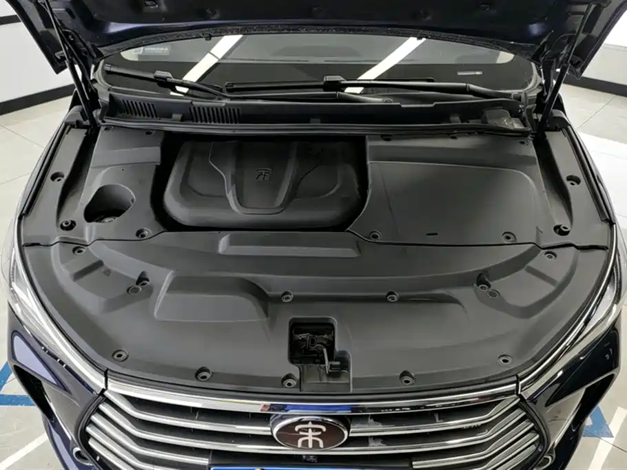 BYD MAX 2018 — фото 10