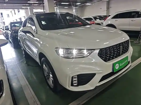 Wey VV5 2020