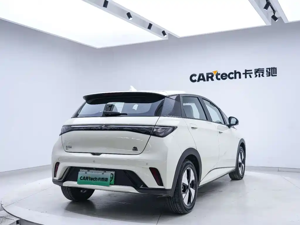 BYD Dolphin 2023 — фото 17