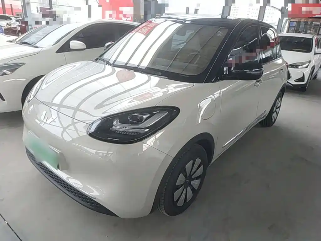 Wuling Bingo 2024
