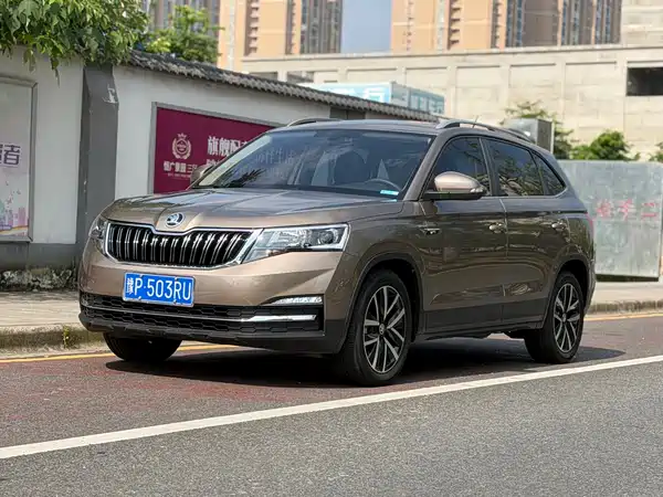 Skoda Kamiq 2022