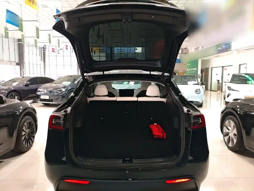 Tesla Model Y 2023 — фото 19