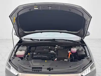BYD Qin PLUS 2023