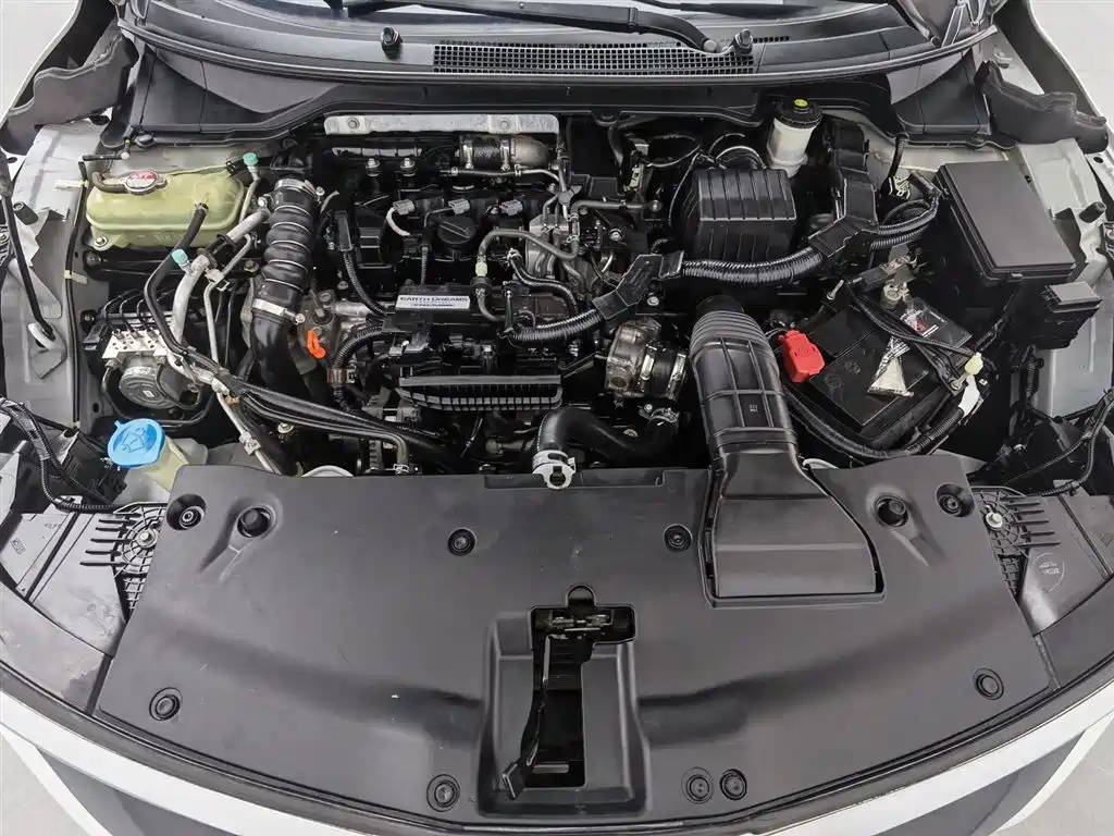 Honda Crider 2019