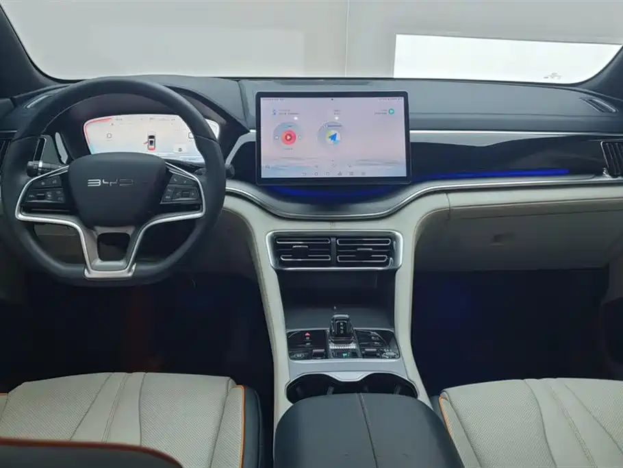 BYD Song PLUS New Energy 2024 — фото 12