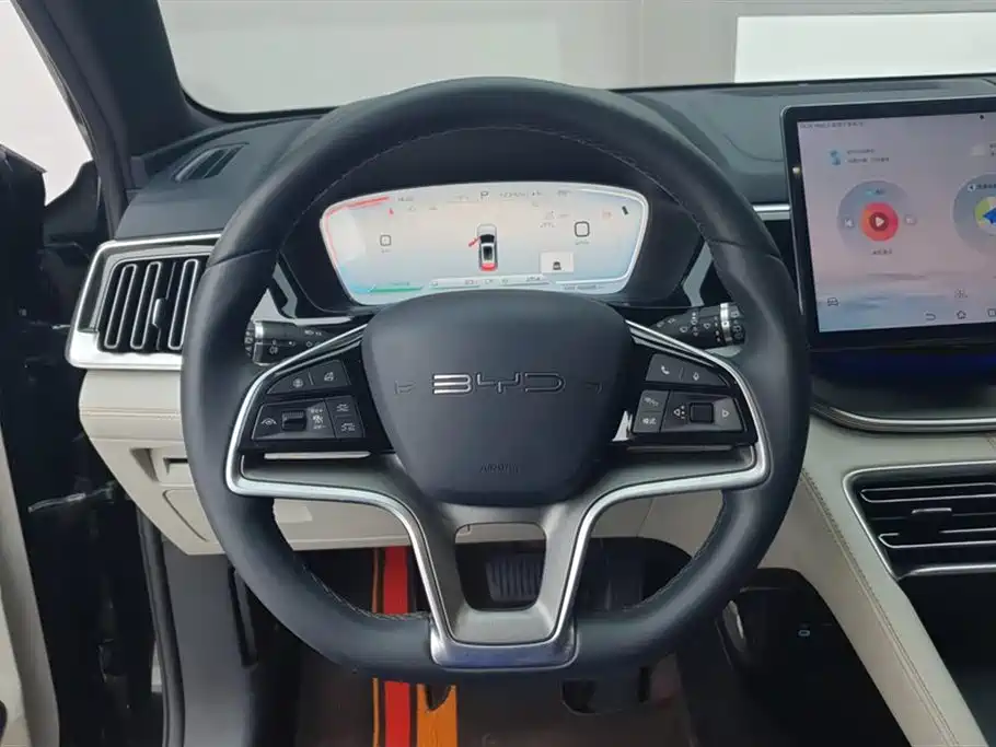 BYD Song PLUS New Energy 2024 — фото 15