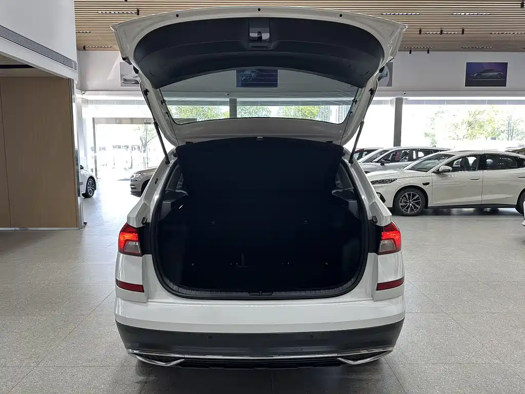 Skoda Kamiq 2022 — фото 9