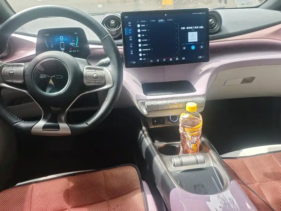 BYD Dolphin 2023 — фото 12