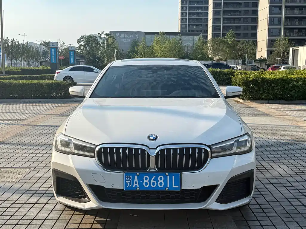 BMW 5 Series 2021