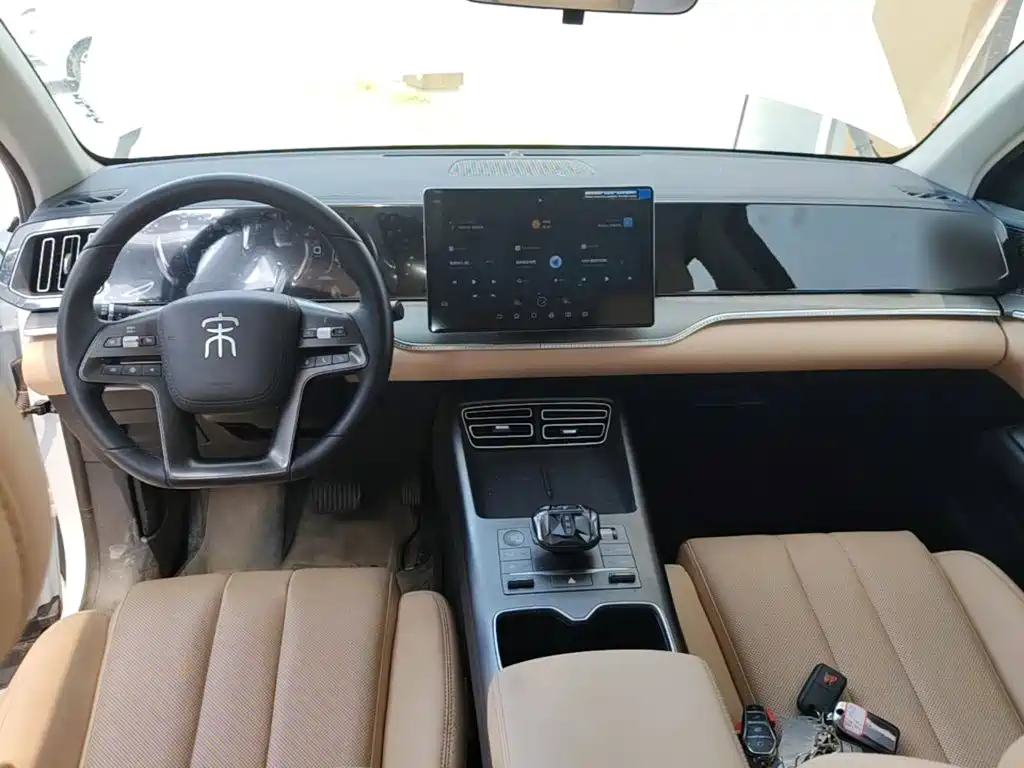 BYD Song Pro New Energy 2025 — фото 10