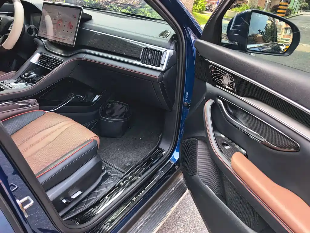 BYD Song PLUS New Energy 2022 — фото 20