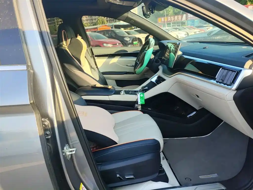 BYD PLUS New Energy 2023 — фото 25