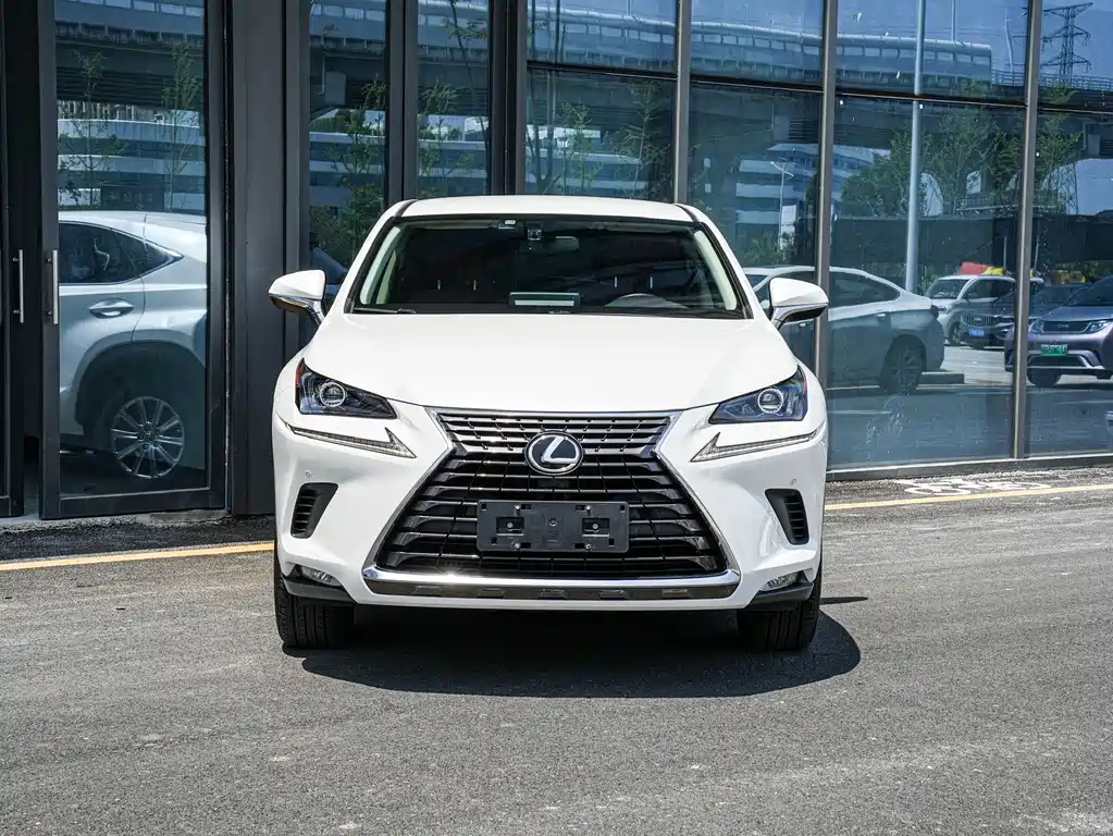 Lexus NX 2020 — фото 2