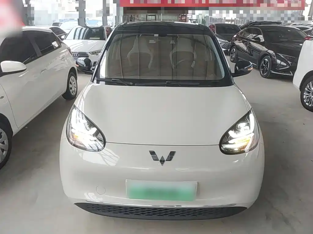 Wuling Bingo 2024