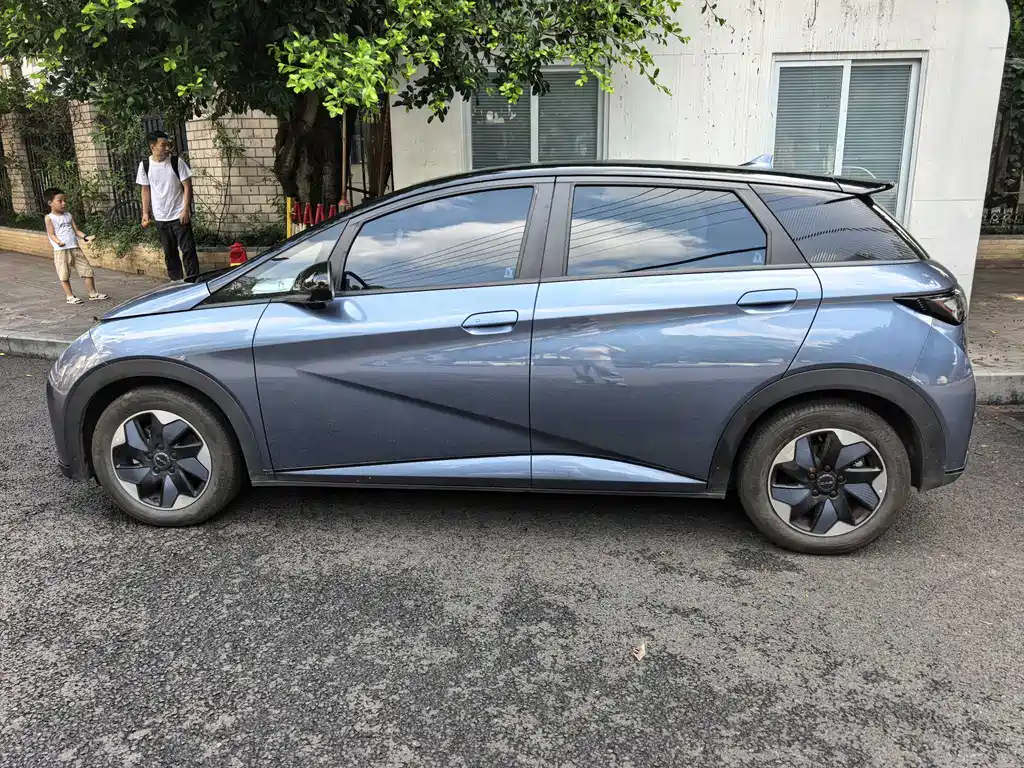 BYD Dolphin 2024