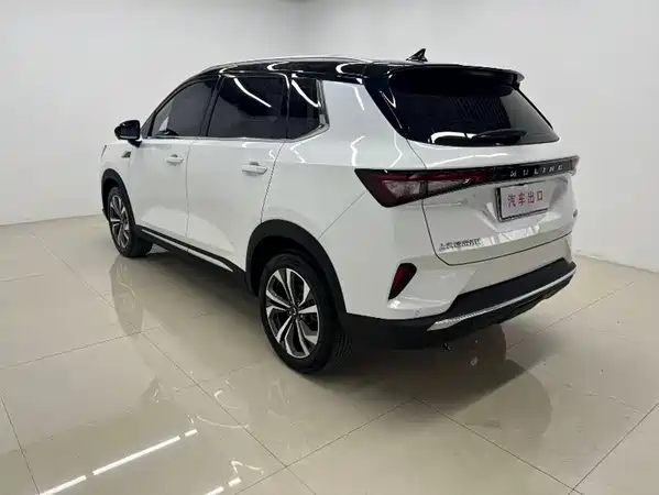 Wuling Star 2022