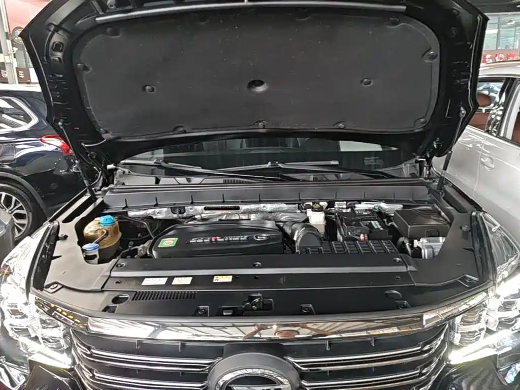 GAC Motor Trumpchi GS8 2021 — фото 20
