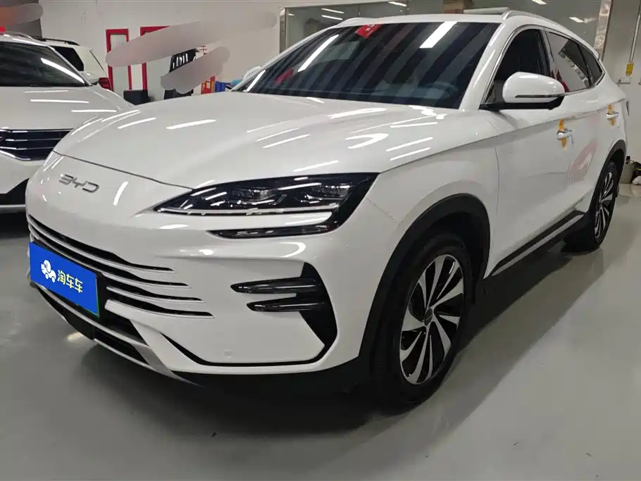 BYD PLUS New Energy 2024