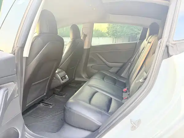 Tesla Model 3 2019