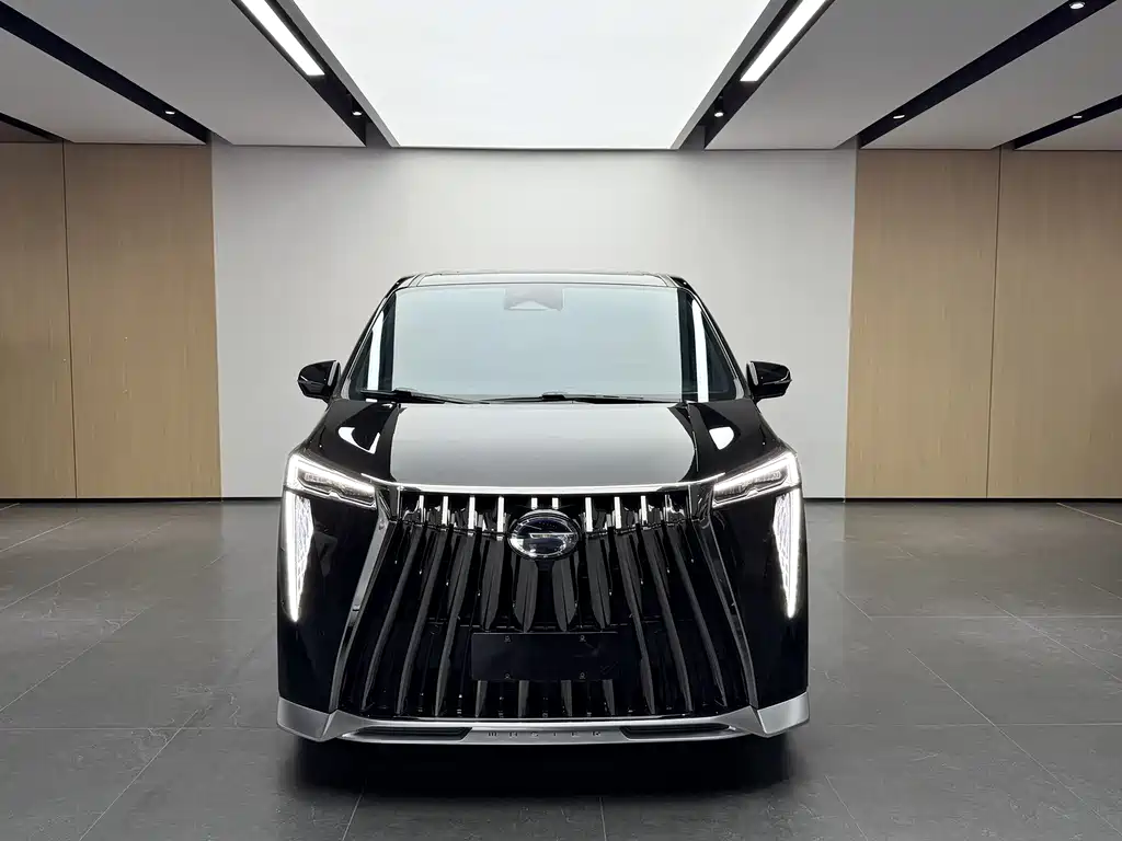 GAC Motor Trumpchi E9 2024 — фото 2