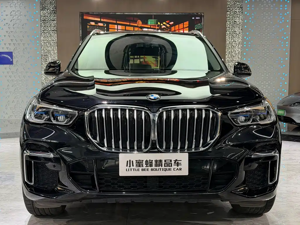 BMW X5 2023