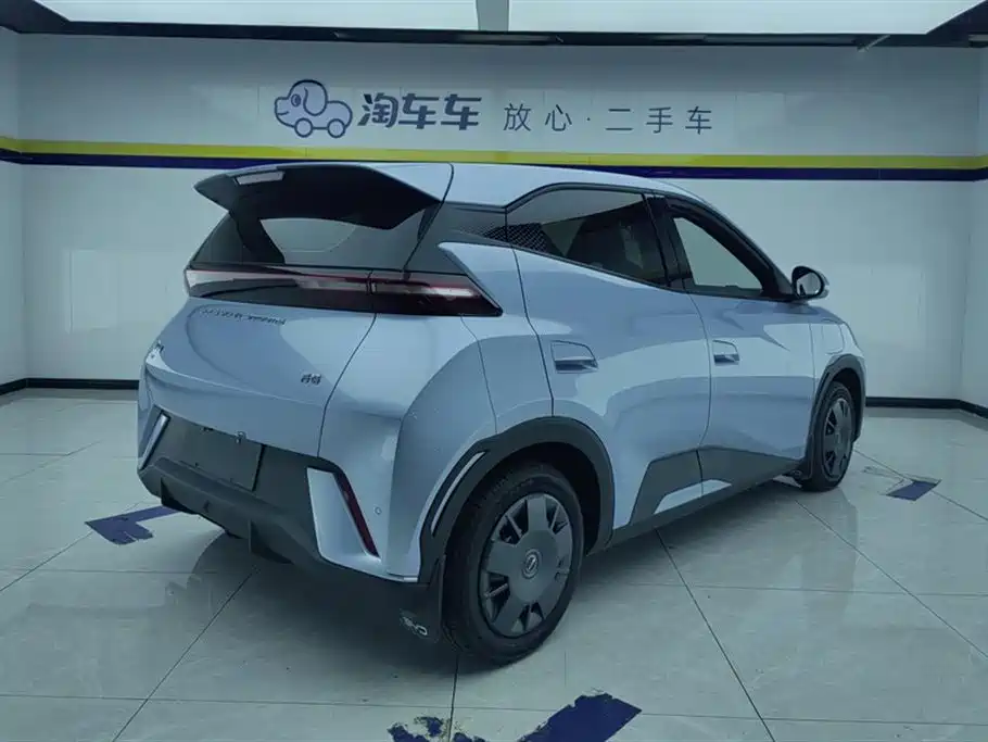 BYD Seagull 2024