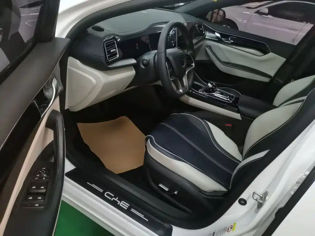 BYD Qin PLUS 2022 — фото 16