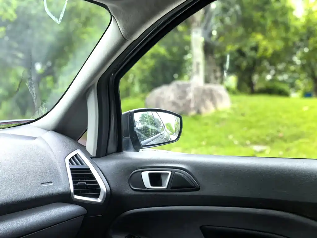 Ford Ecosport 2013 — фото 11