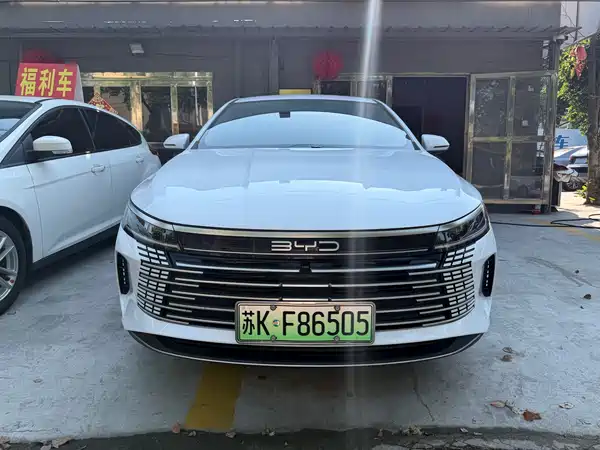 BYD Destroyer 05 2024