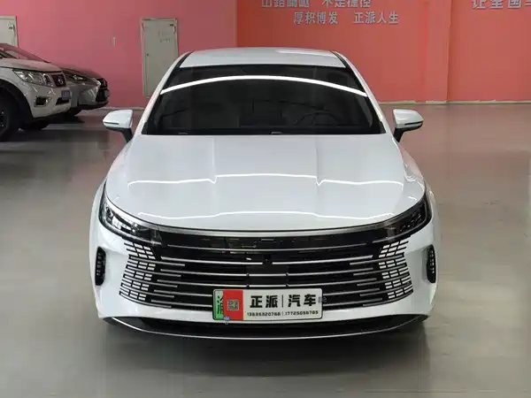 BYD Destroyer 05 2024