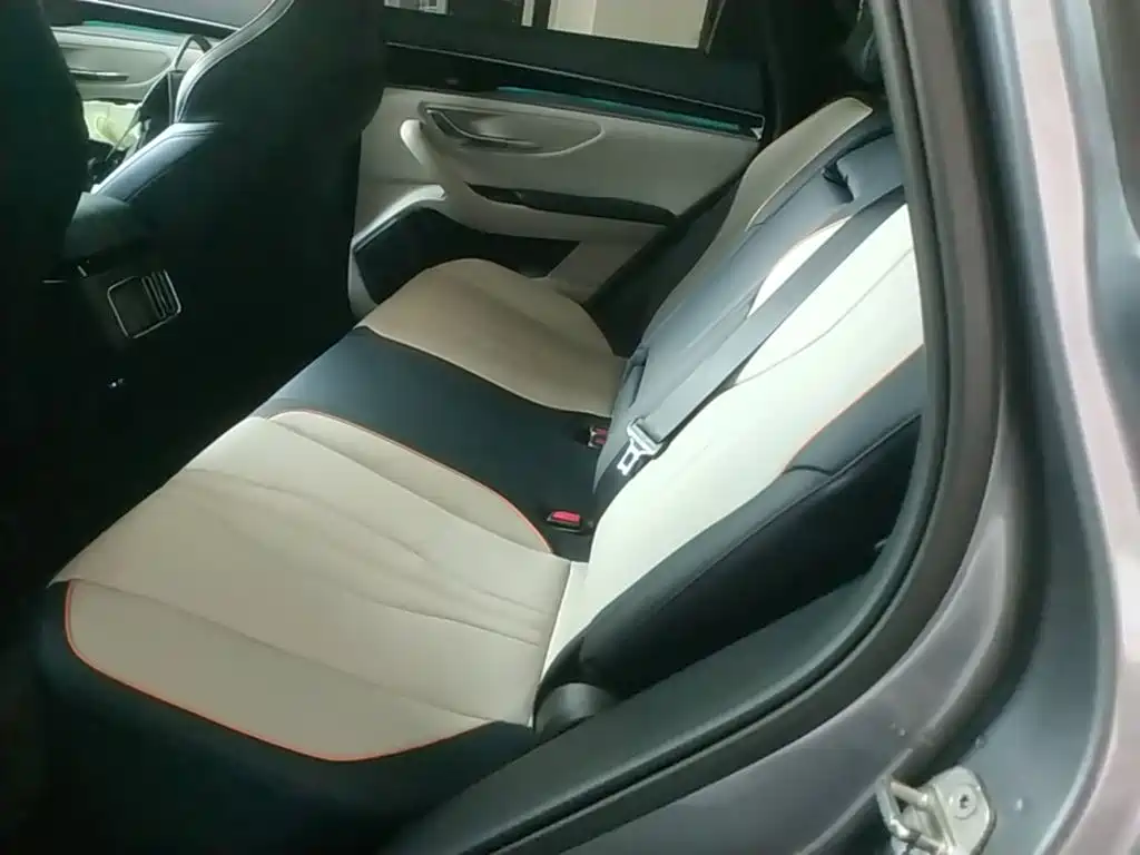 BYD PLUS New Energy 2022 — фото 17