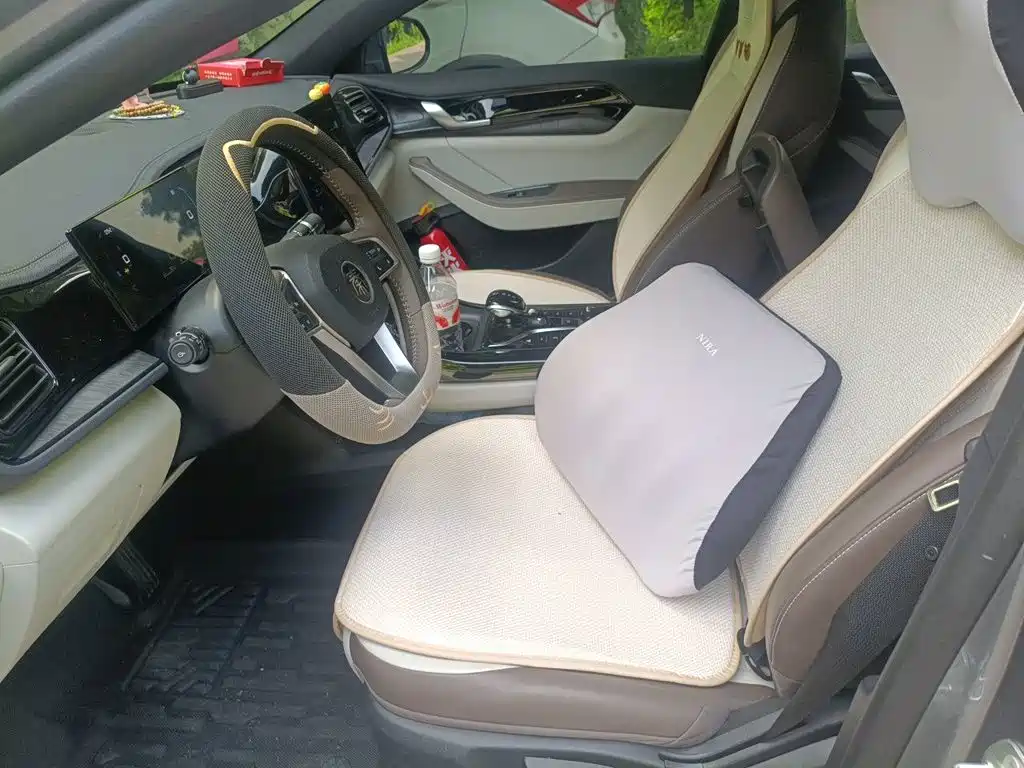 BYD Qin PLUS 2024 — фото 12