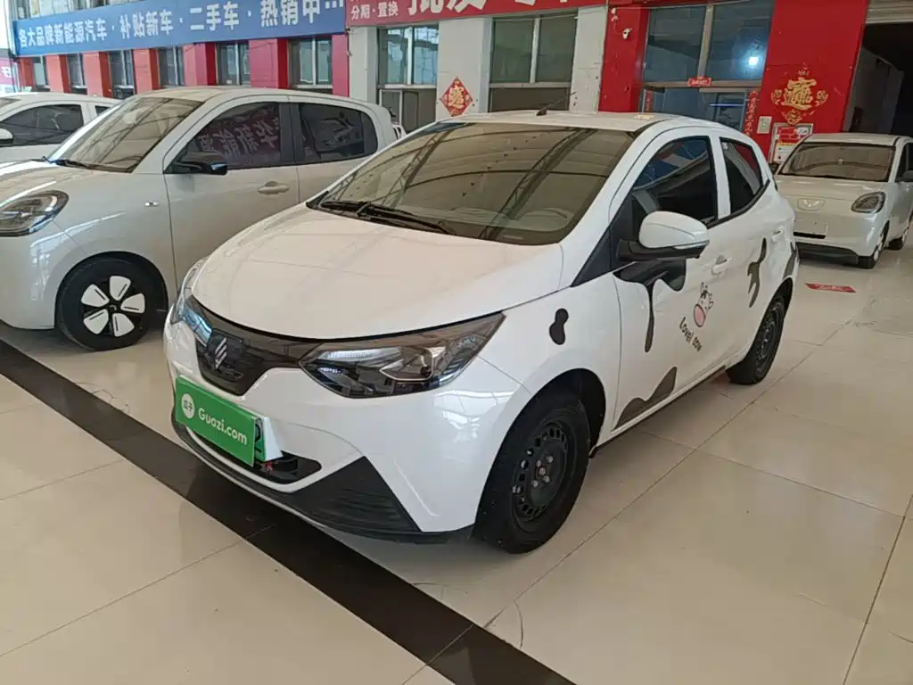 JMEV EV2 2024