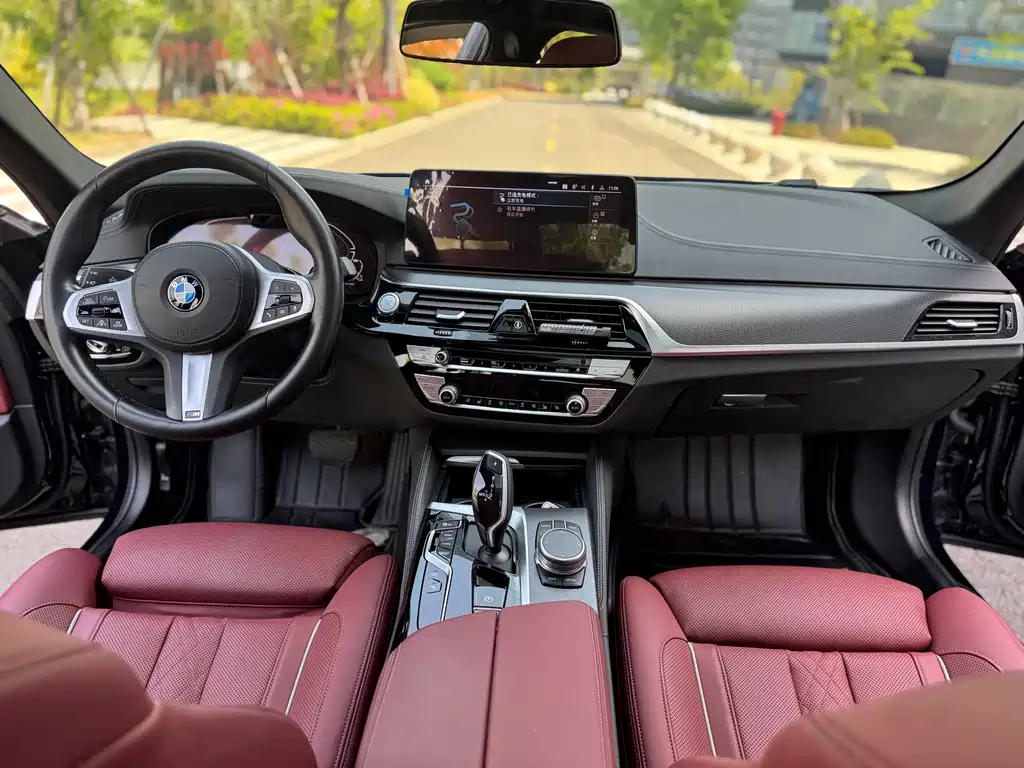 BMW 5 Series New Energy 2021 — фото 4