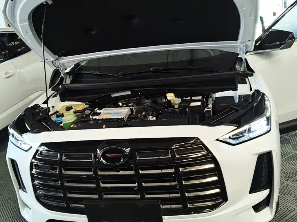 GAC Motor Trumpchi GS4 2024 — фото 20