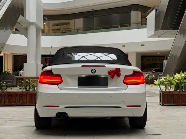 BMW 2 Series 2019