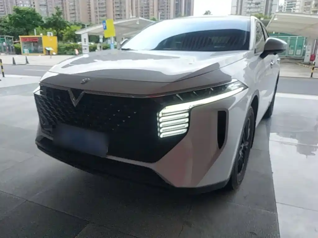 Venucia Big V 2022