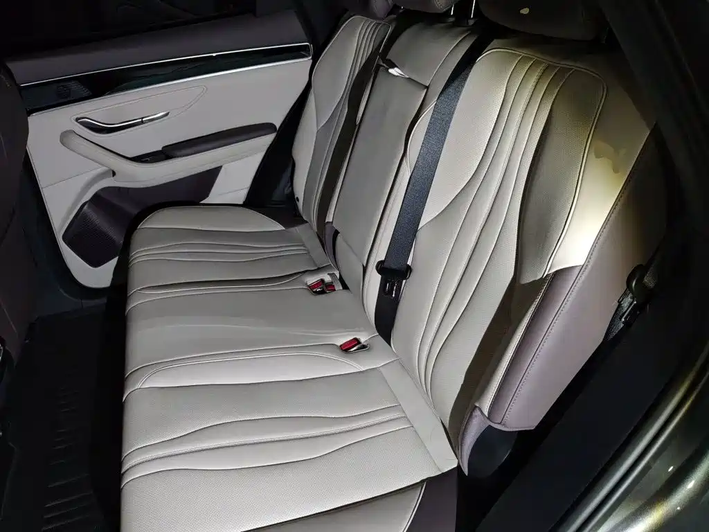 BYD Song PLUS New Energy 2024 — фото 18