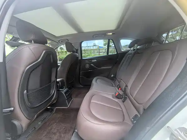 BMW X1 New Energy 2021