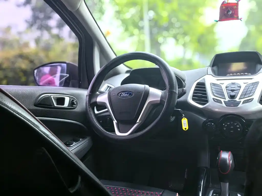 Ford Ecosport 2013 — фото 15