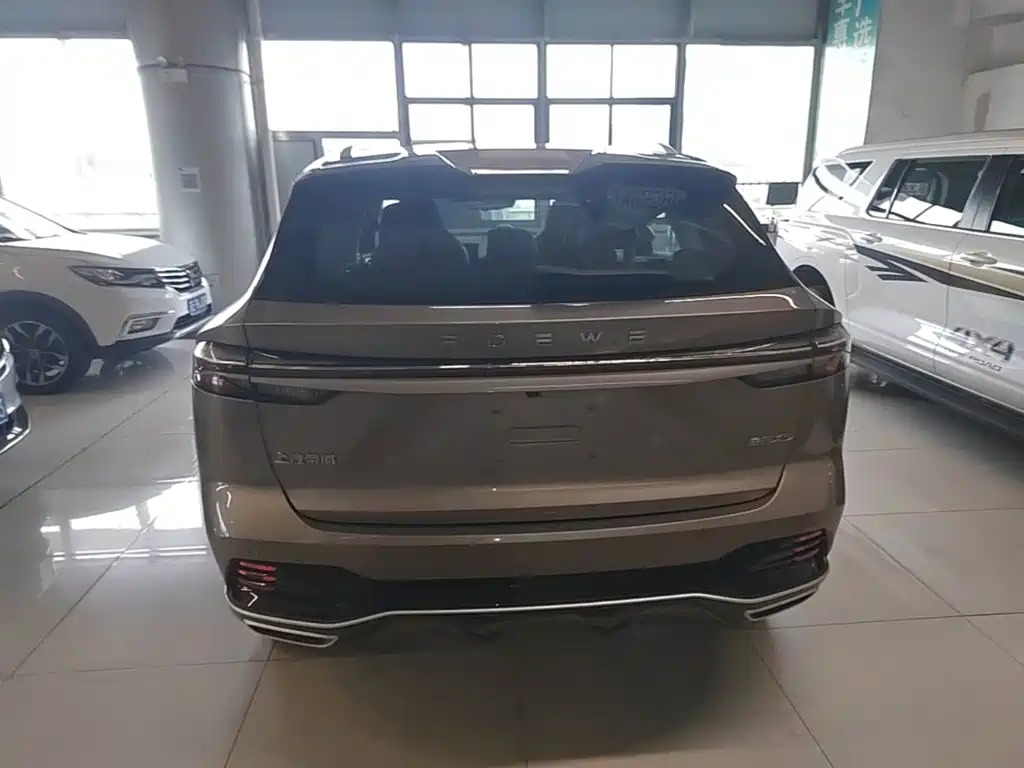 Roewe RX5 New Energy 2023 — фото 6