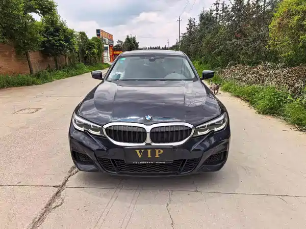 BMW 3 Series 2019