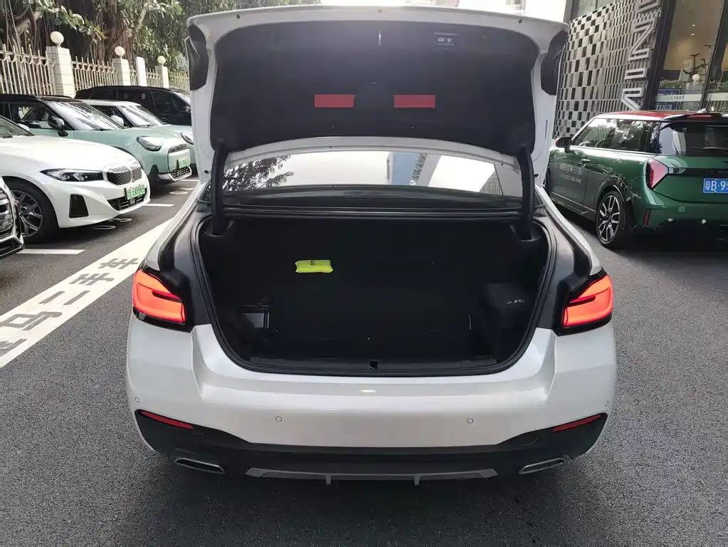 BMW 5 Series New Energy 2022