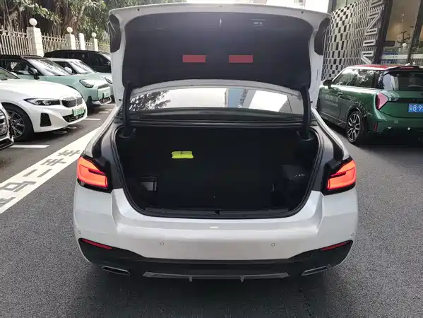 BMW 5 Series New Energy 2022