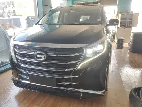 GAC Trumpchi M8 2021