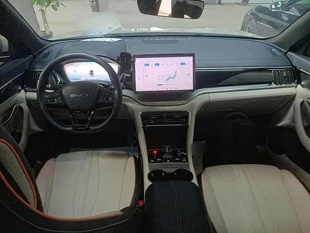 BYD PLUS New Energy 2024 — фото 10