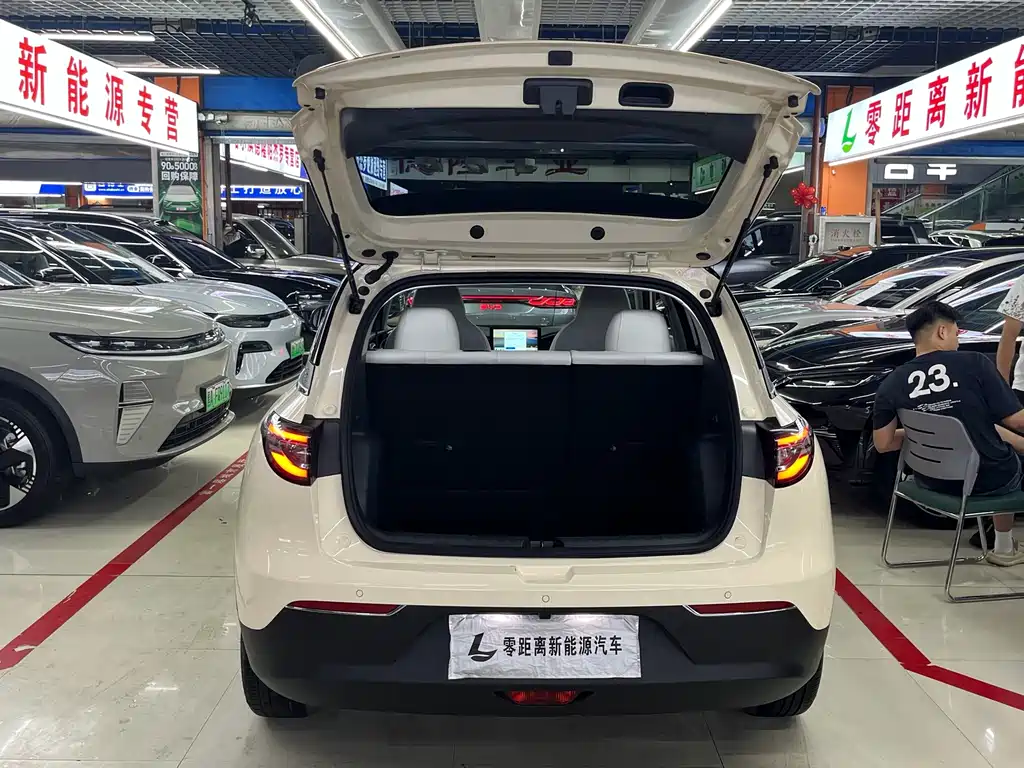 Geely Galaxy Starwish 2025 — фото 15